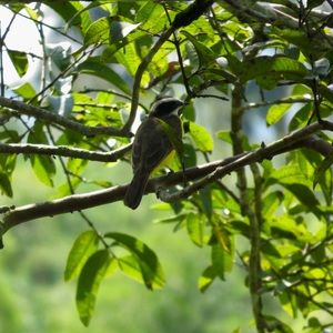 Meet your Posher, Fran